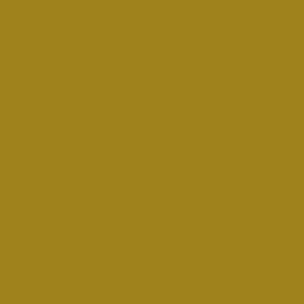 Resene Reef Gold ReefGold paint color swatch — hex #9F821C