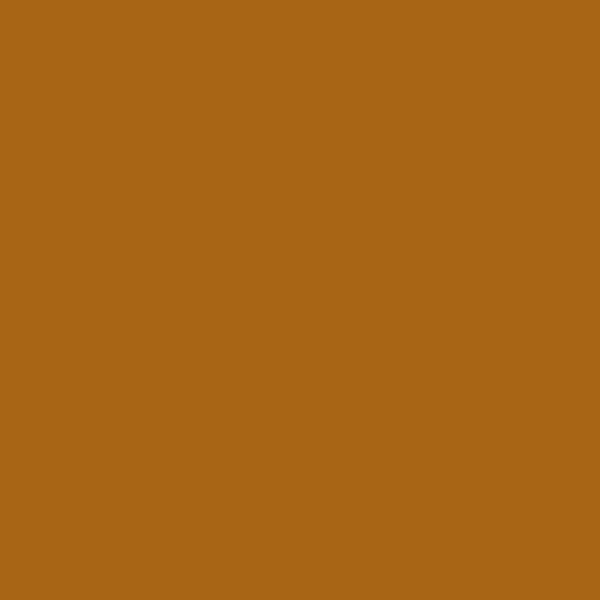 Resene Reno Sand RenoSand paint color swatch — hex #A86515