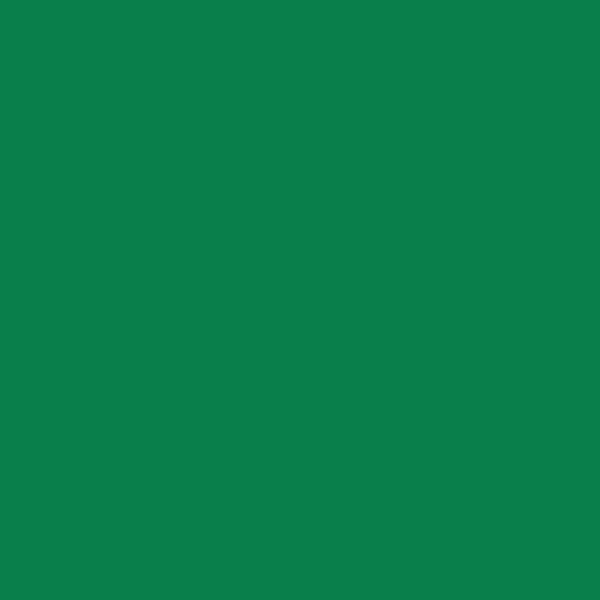 Resene Salem Salem paint color swatch — hex #097F4B