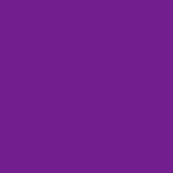 Resene Seance Seance paint color swatch — hex #731E8F