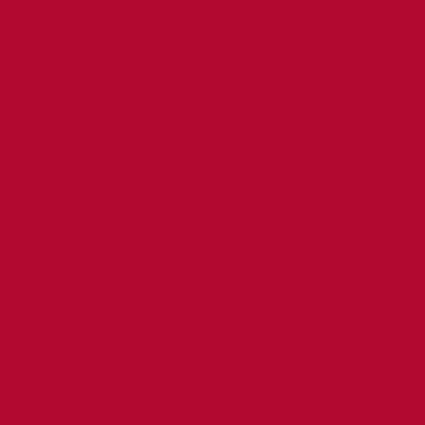 Resene Shiraz Shiraz paint color swatch — hex #B20931