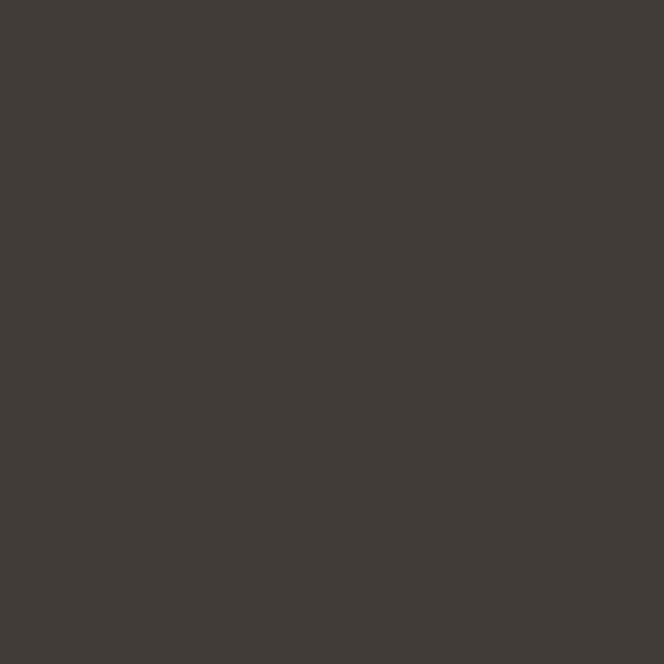 Resene Smokey Ash SmokeyAsh paint color swatch — hex #413C37