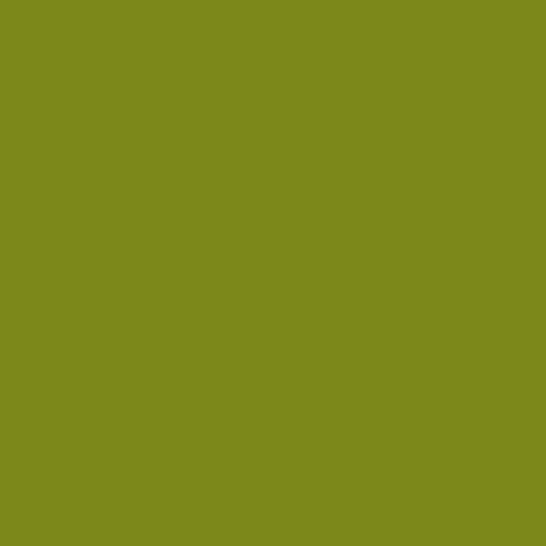 Resene Trendy Green TrendyGreen paint color swatch — hex #7C881A