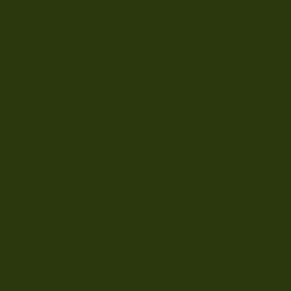 Resene Turtle Green TurtleGreen paint color swatch — hex #2A380B