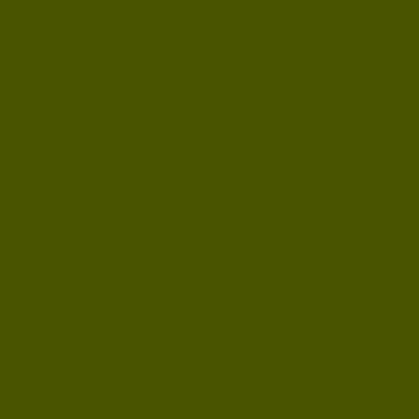 Resene Verdun Green VerdunGreen paint color swatch — hex #495400