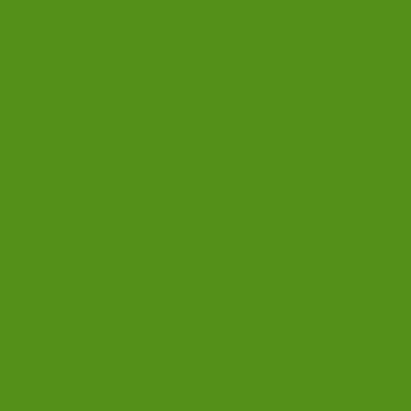 Resene Vida Loca VidaLoca paint color swatch — hex #549019
