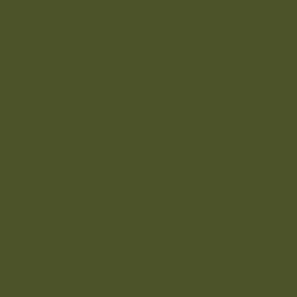Resene Woodland Woodland paint color swatch — hex #4D5328