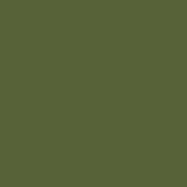 SW Inverness SW 6433 paint color swatch — hex #576238
