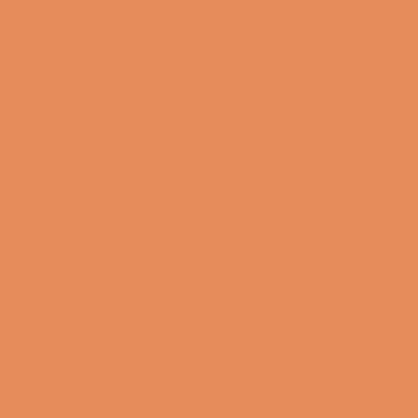 Tikk K314 K314 paint color swatch — hex #E68C5B