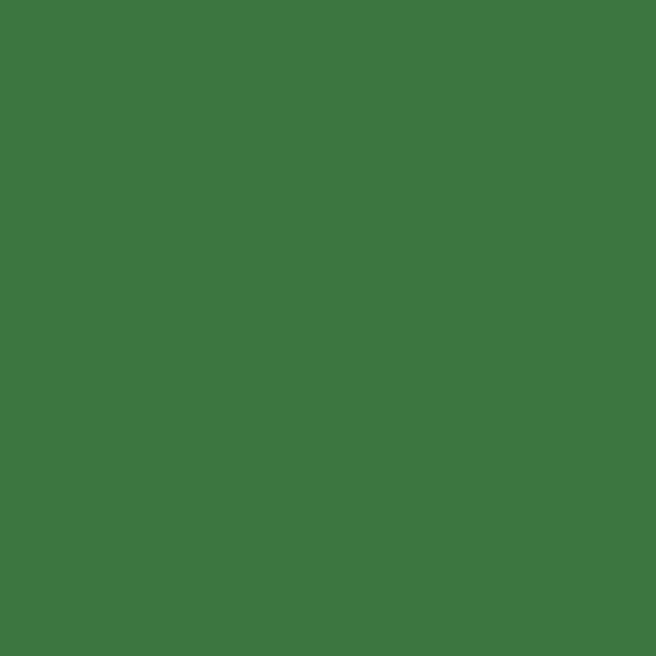 Tikk L379 L379 paint color swatch — hex #3C7640
