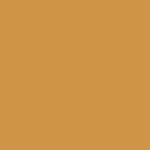 Tikk L398 L398 paint color swatch — hex #D09446