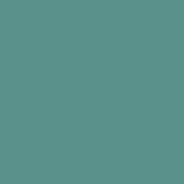 Tikk S370 S370 paint color swatch — hex #5A928B