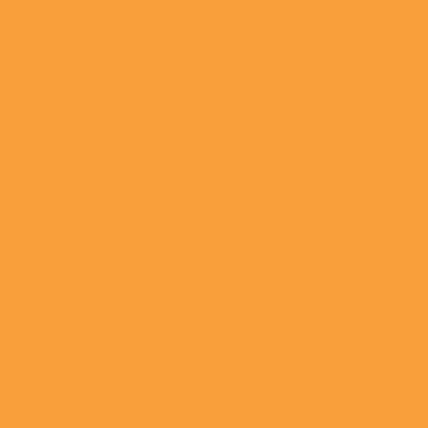 Valspar Monarch Wing 2008-1A paint color swatch — hex #F99F3B