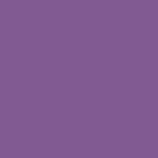 Valspar Sonic Plum 4002-10C paint color swatch — hex #815A92