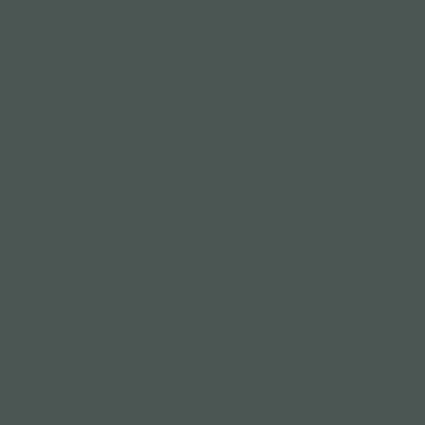 Valspar Deepest River 5009-3 paint color swatch — hex #4B5653