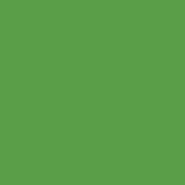 Valspar Bright Parrot 6011-7 paint color swatch — hex #5A9E48